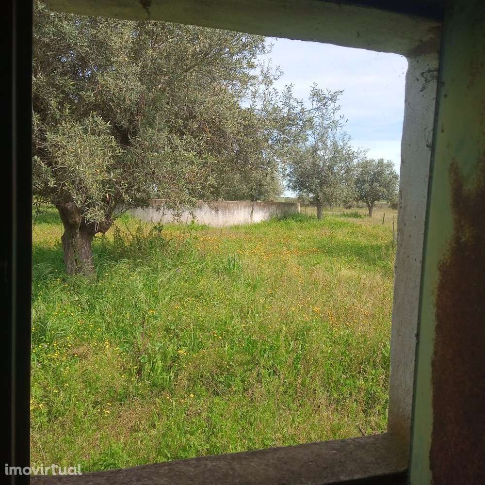 Terreno com Monte Alentejano - Grande imagem: 2/13