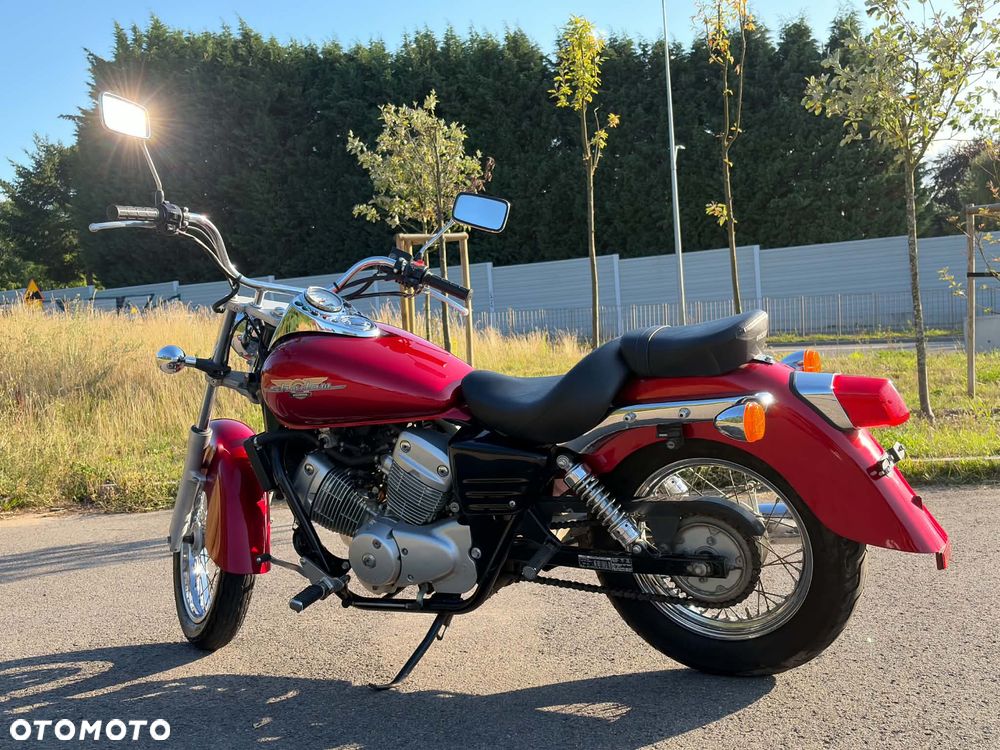 Honda Shadow - 6