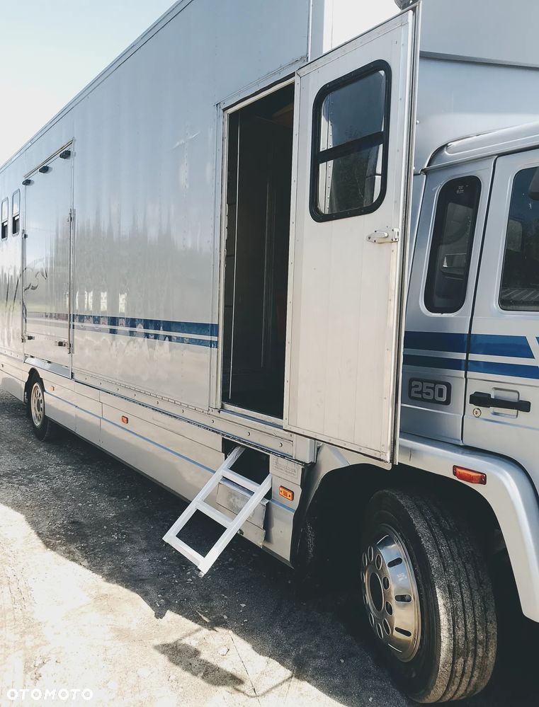 Volvo FL6 250 Koniowóz - 17