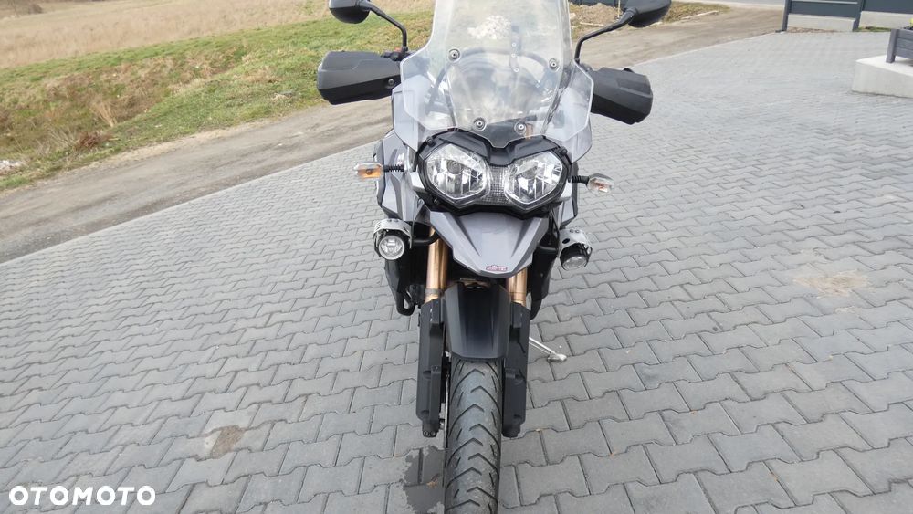 Triumph Tiger - 4