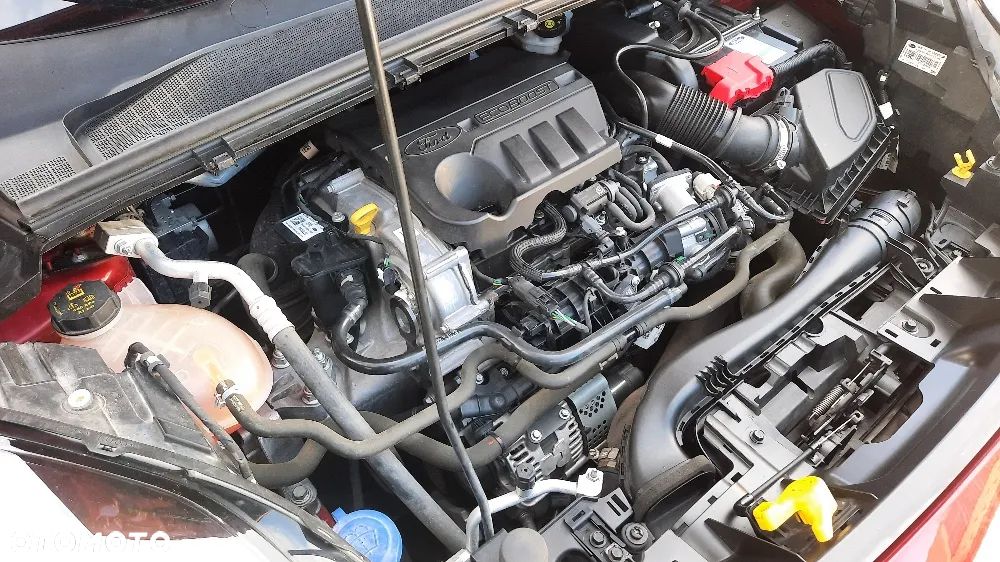 Ford Puma 1.0 EcoBoost Titanium - 20