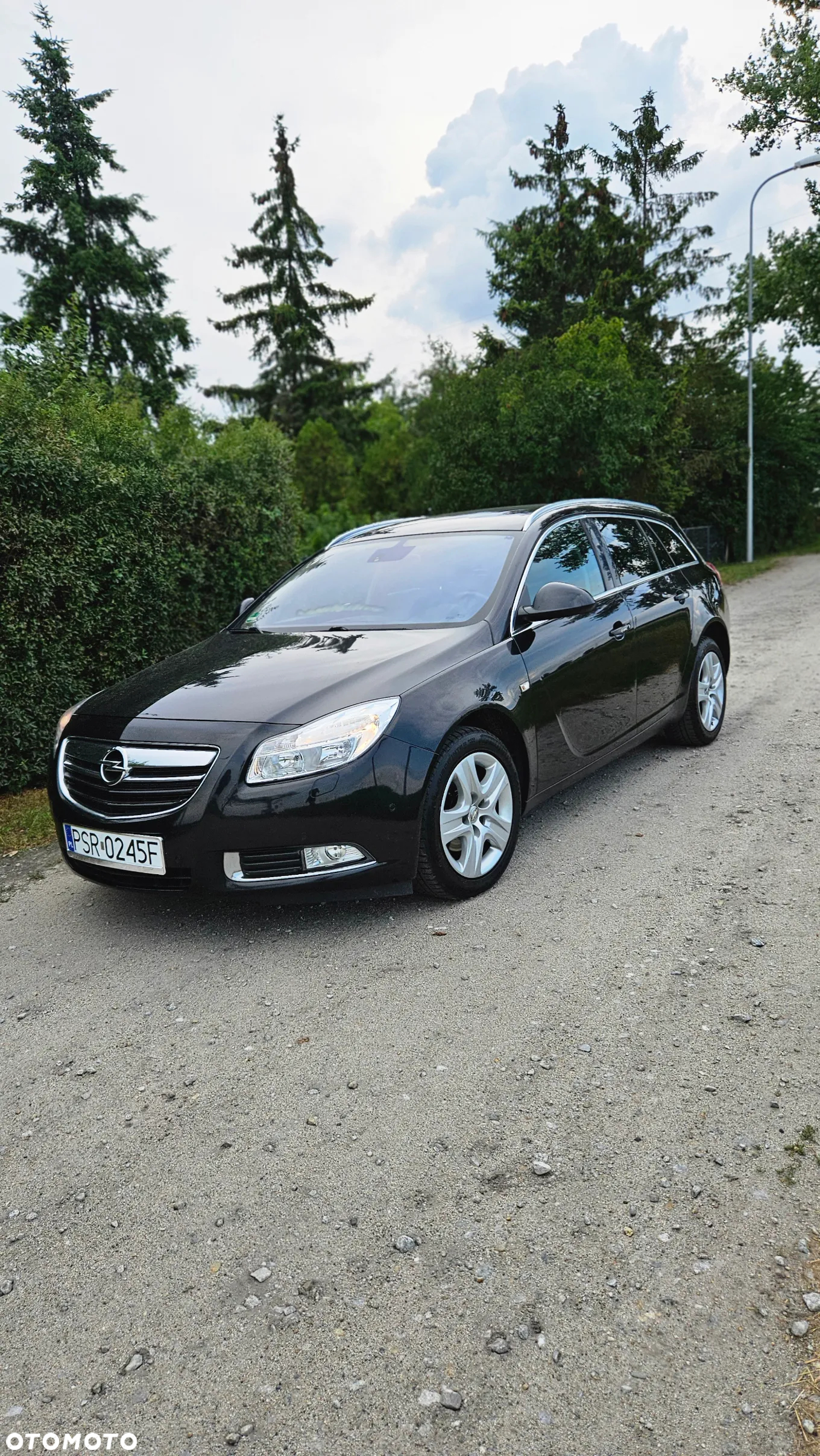 Opel Insignia 2.0 CDTI Cosmo ecoFLEX - 12