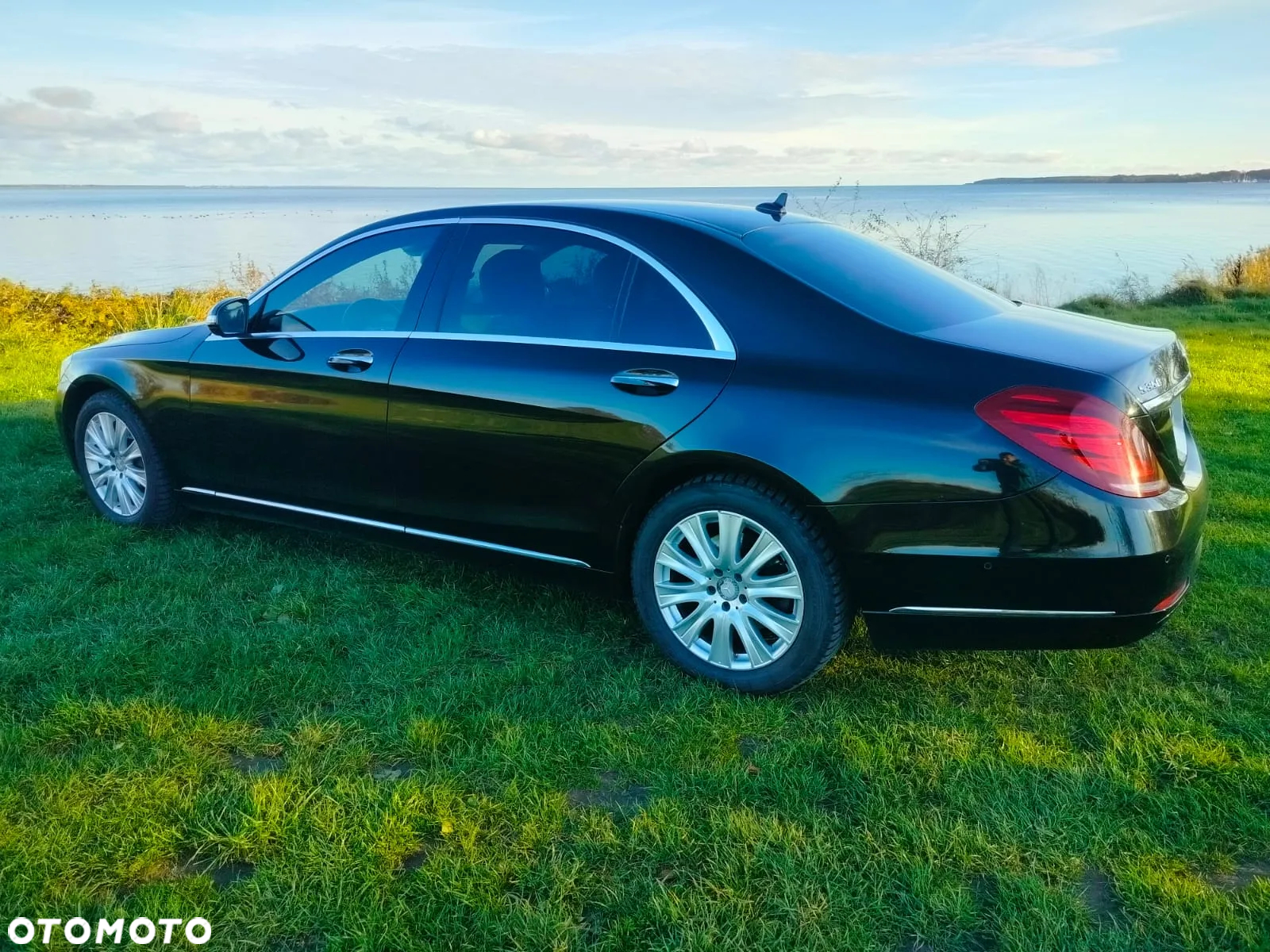 Mercedes-Benz Klasa S 350 (BlueTEC) d L 7G-TRONIC - 19