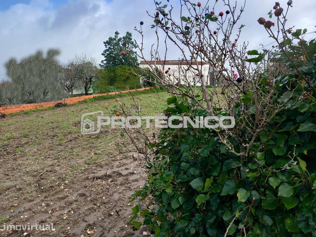 Terreno Urbanizável - Requeixo - Grande imagem: 2/4
