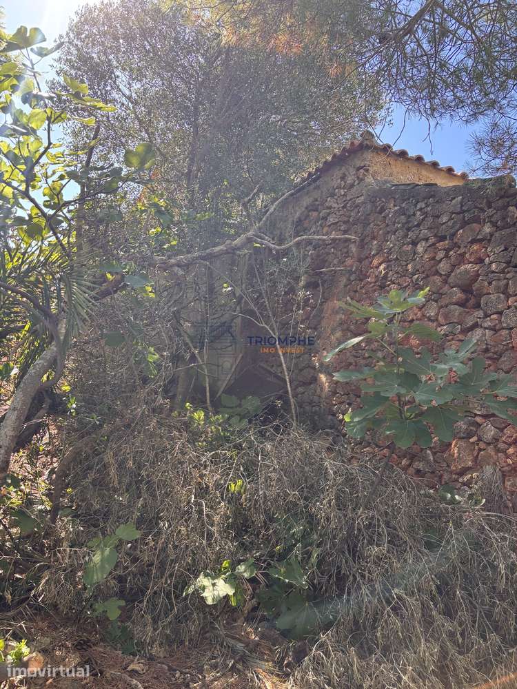 Terreno misto com ruina e armazéns em Silves - Grande imagem: 2/8