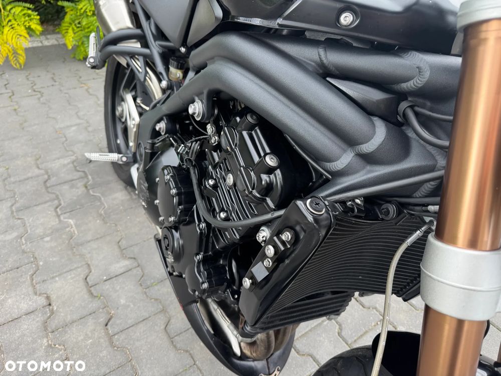 Triumph Speed Triple - 29