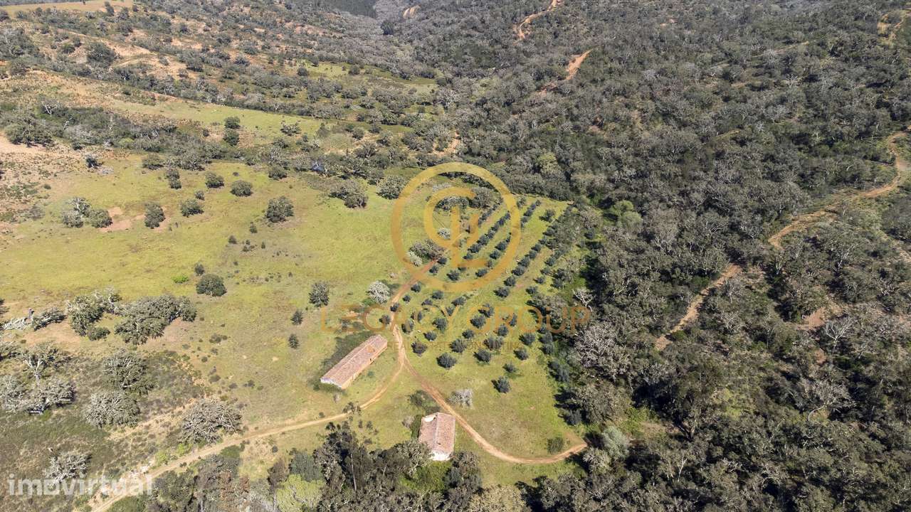 Herdade de 60 ha em Odemira - Grande imagem: 2/47