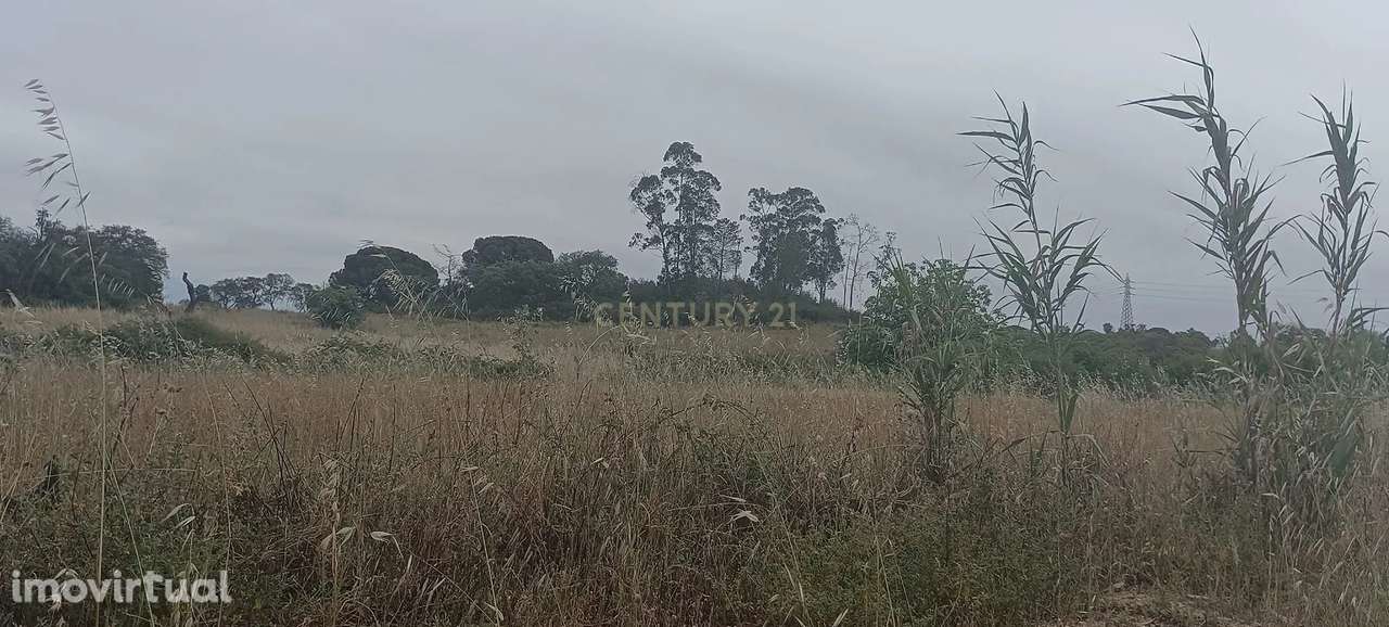 Terreno Rústico de 36,760m², Vale do Cobro, Oportunidade Rara - Grande imagem: 2/15