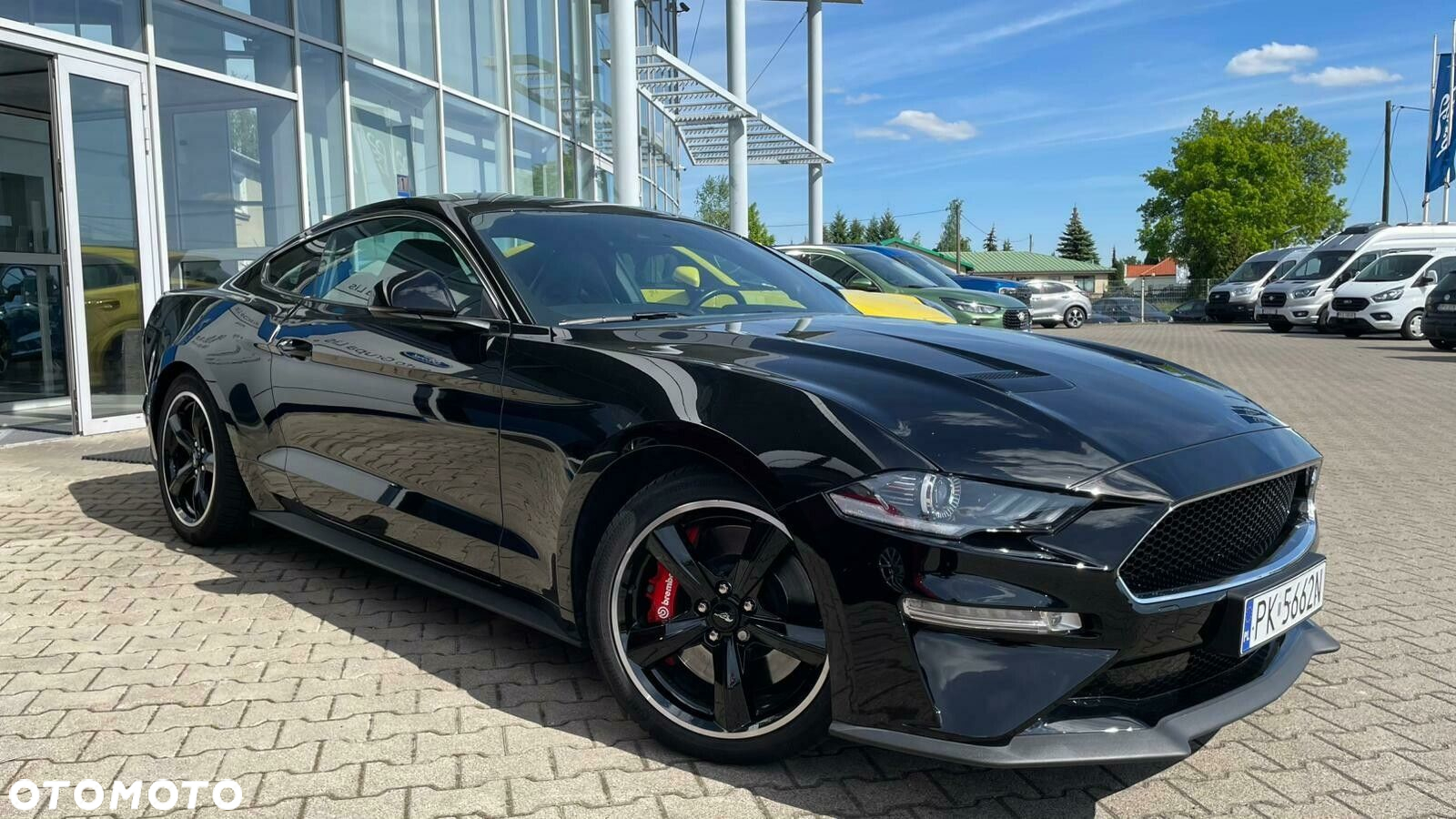 Ford Mustang 5.0 V8 Bullitt - 3