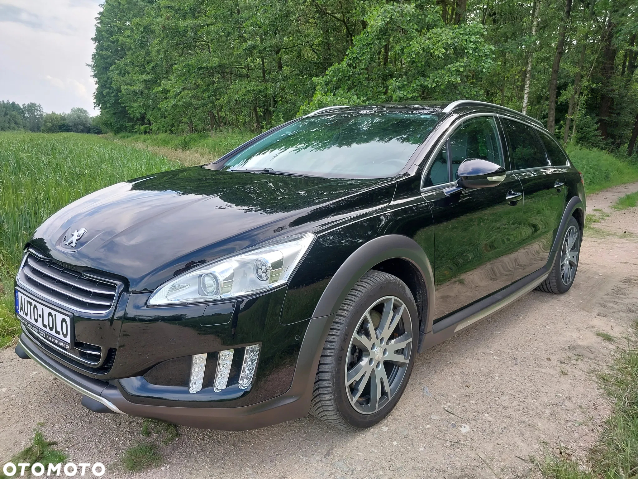 Peugeot 508 RXH 2.0 HDi HYbrid4 - 3