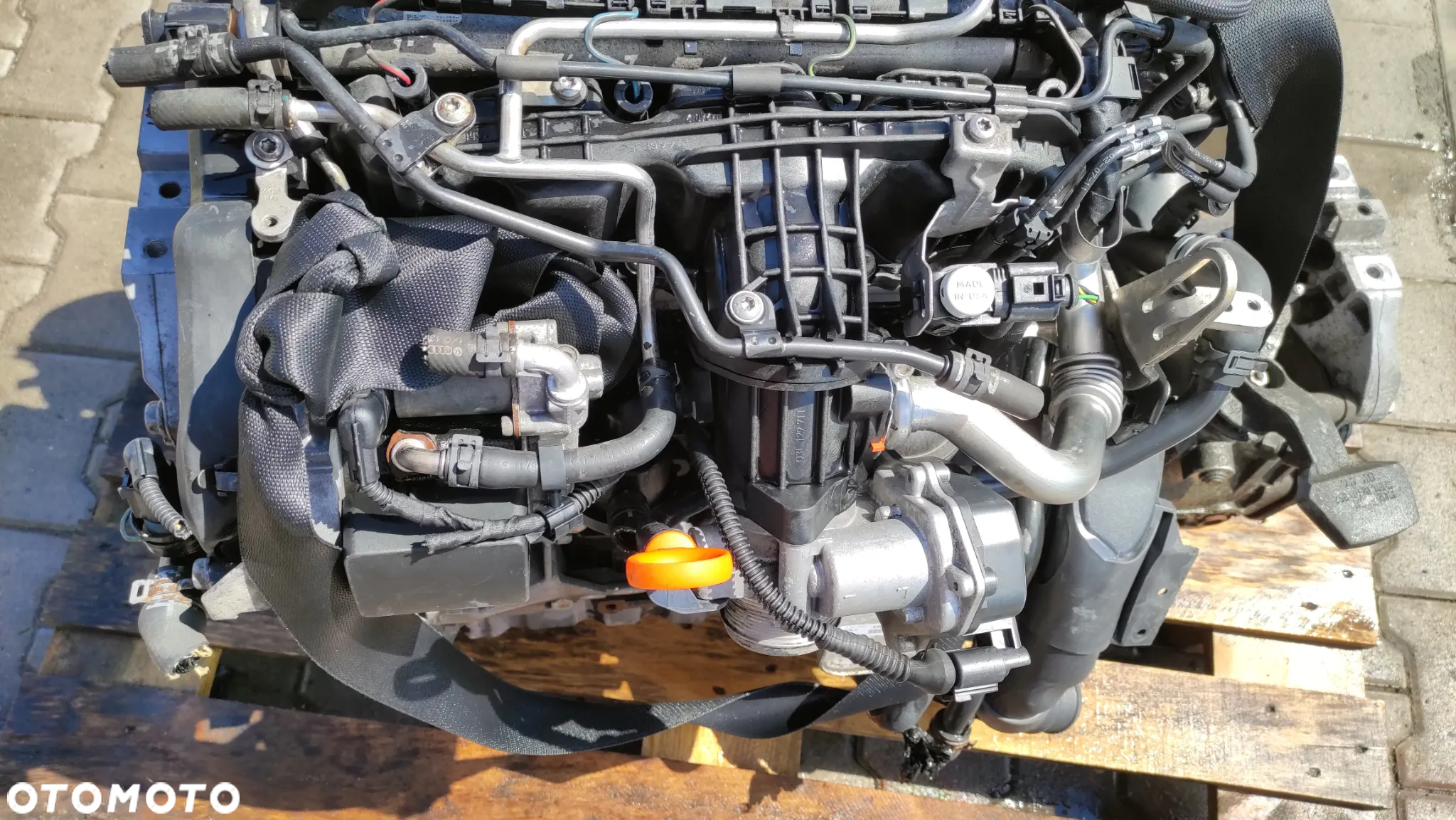 Silnik VW Caddy Audi 1.6 diesel kod: CAYD - 2