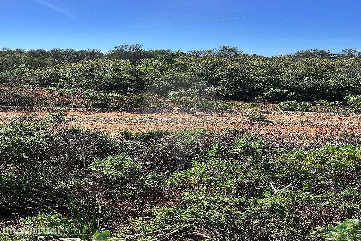 Terreno  para venda - Grande imagem: 3/11