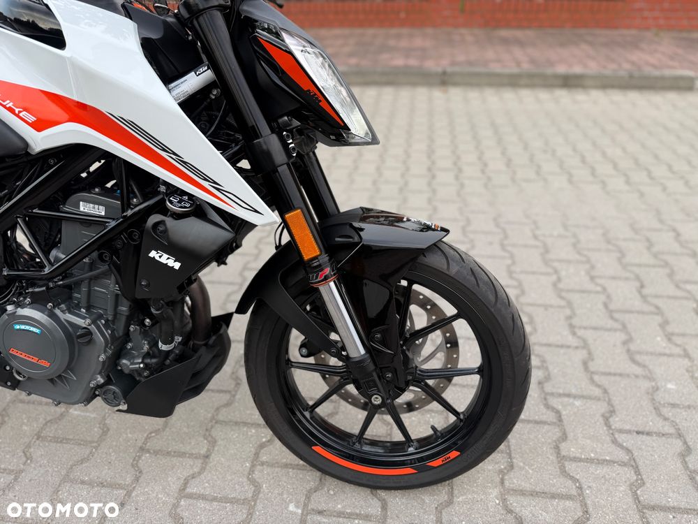 KTM Duke 390 - 5