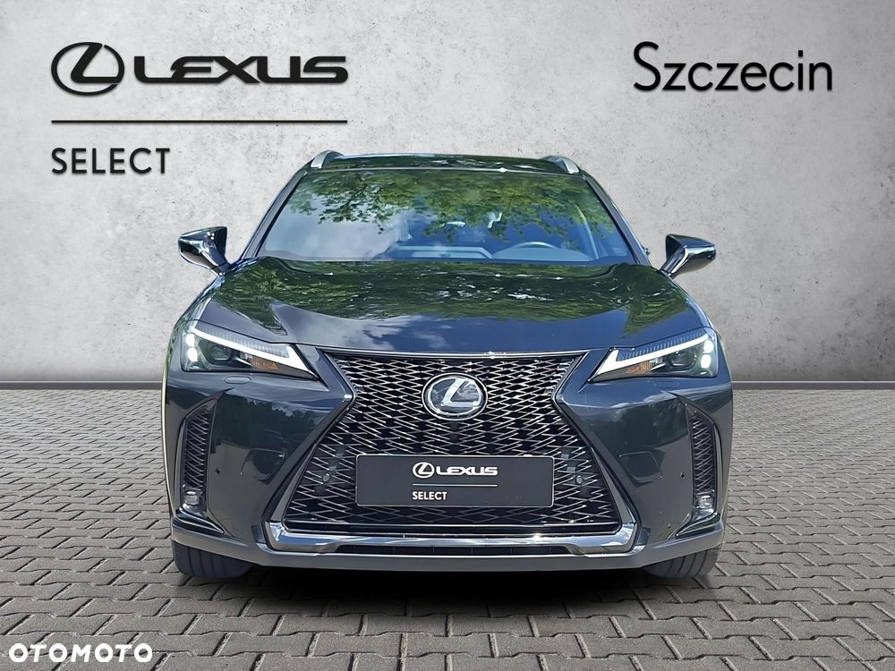 Lexus UX 250h GPF F Sport Design 2WD - 8