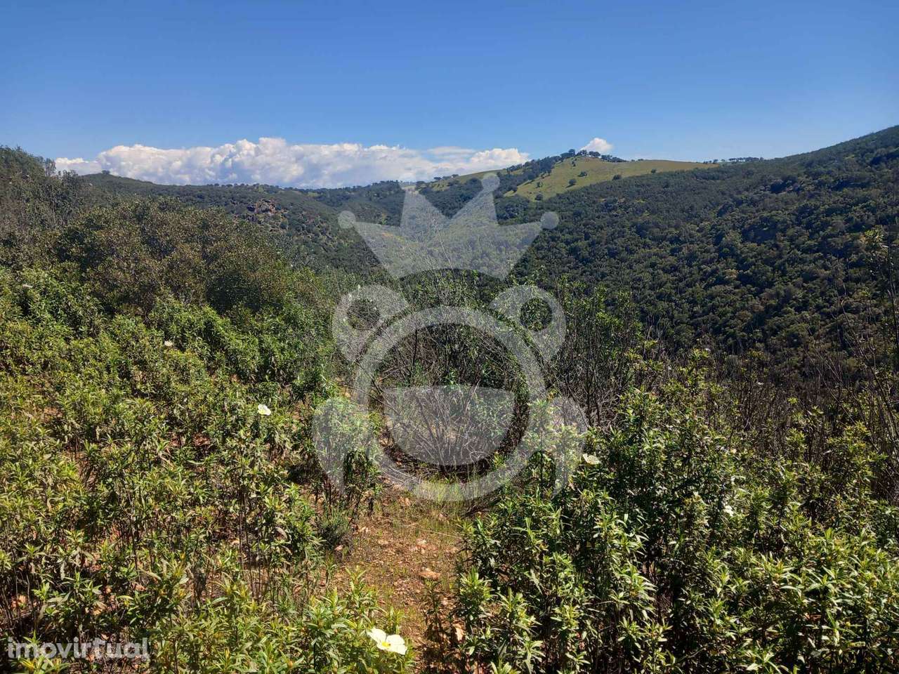 Terreno Rústico - 6.25ha - Grande imagem: 3/4