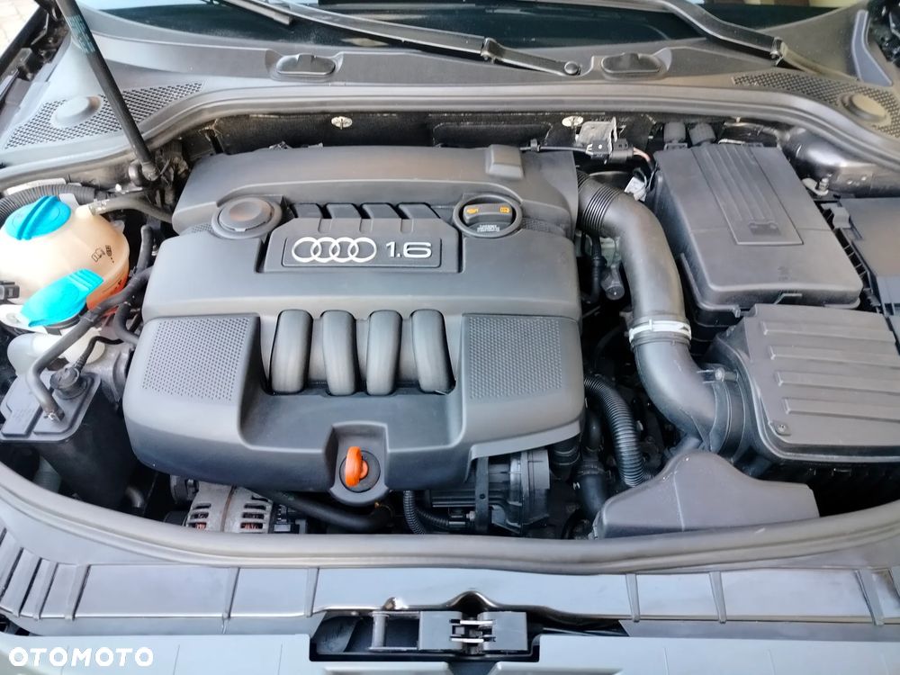 Audi A3 Sportback 1.6 Attraction - 16
