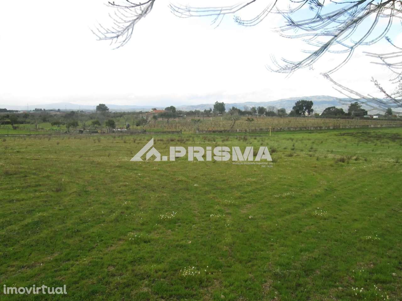 Terreno Rústico à Venda na Lardosa - Grande imagem: 4/38