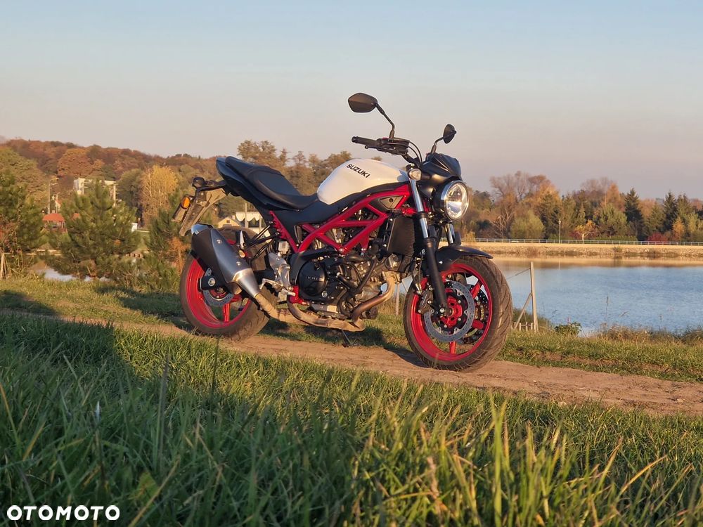 Suzuki SV - 9
