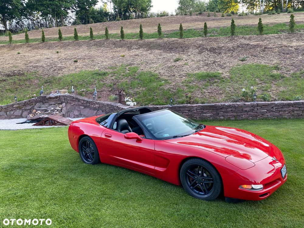 Chevrolet Corvette - 7