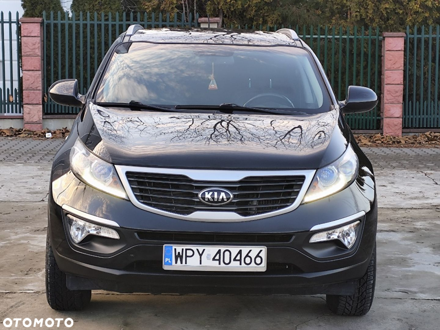 Kia Sportage - 28