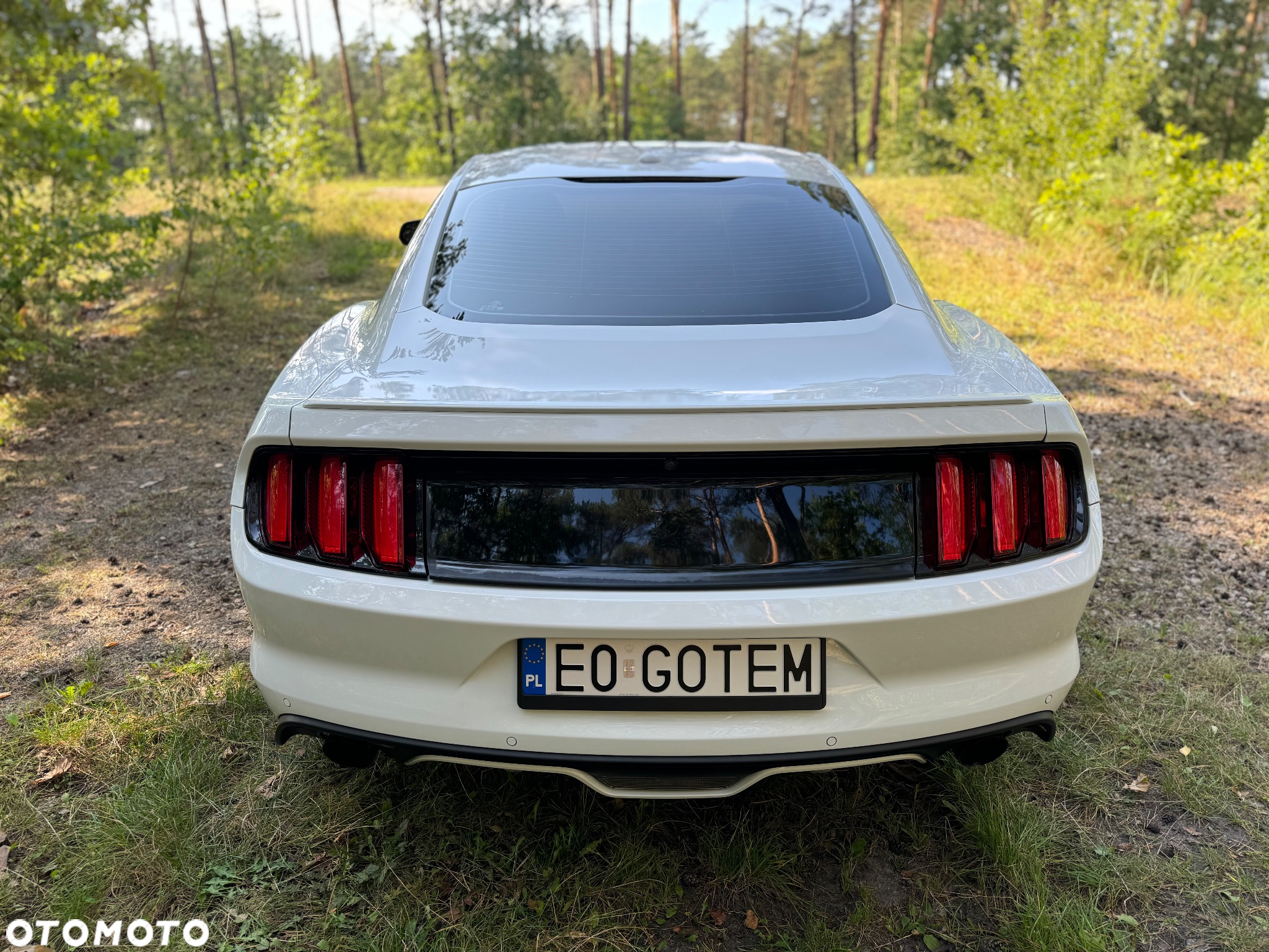 Ford Mustang - 7