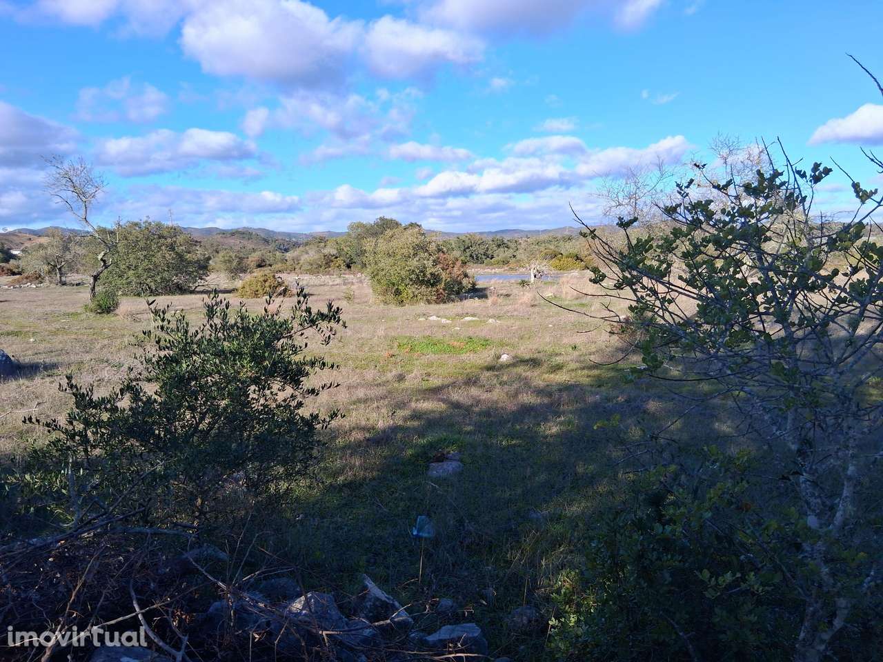 Terreno Rústico nas Almargens. - Grande imagem: 3/7