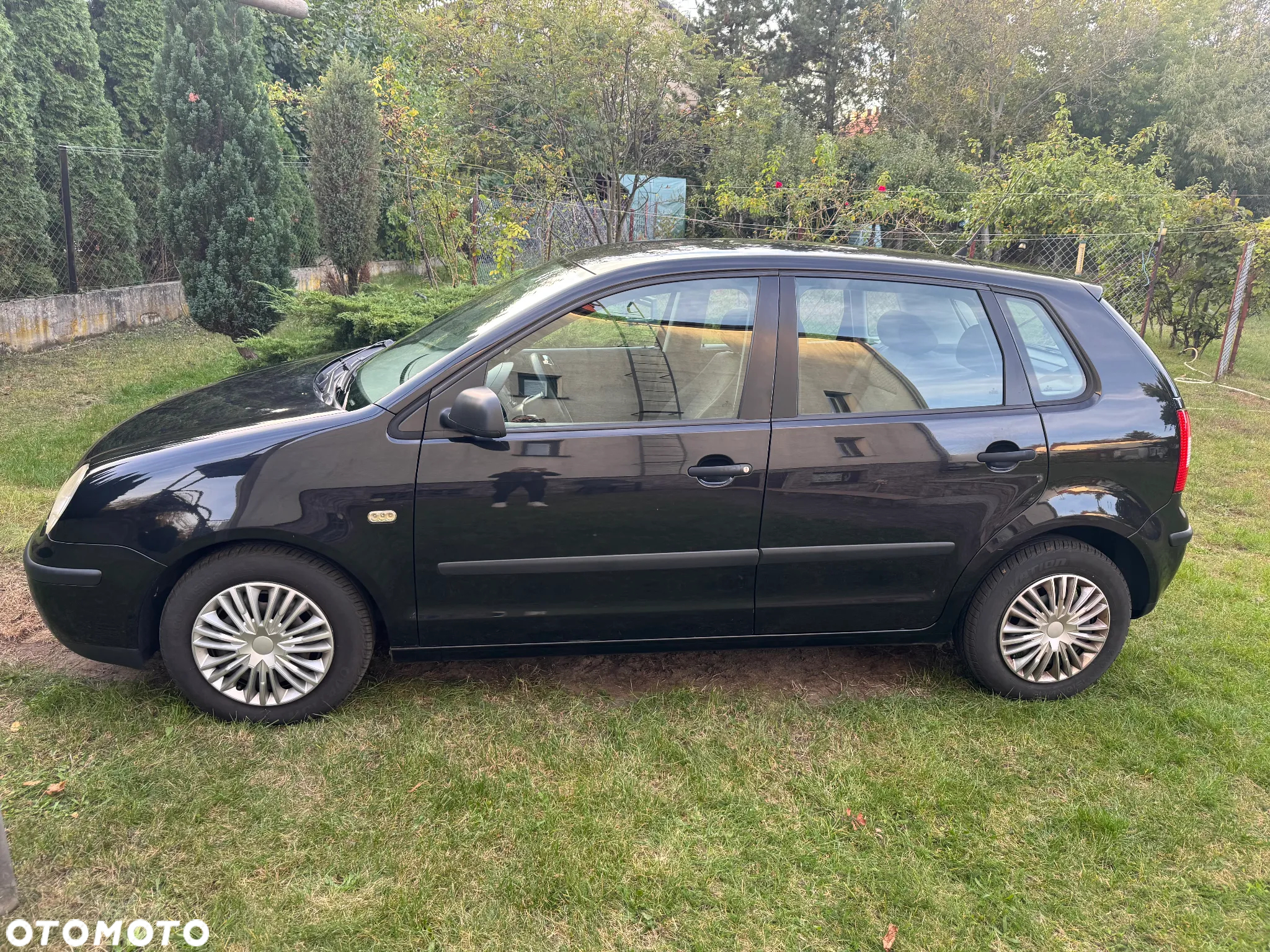 Volkswagen Polo - 2
