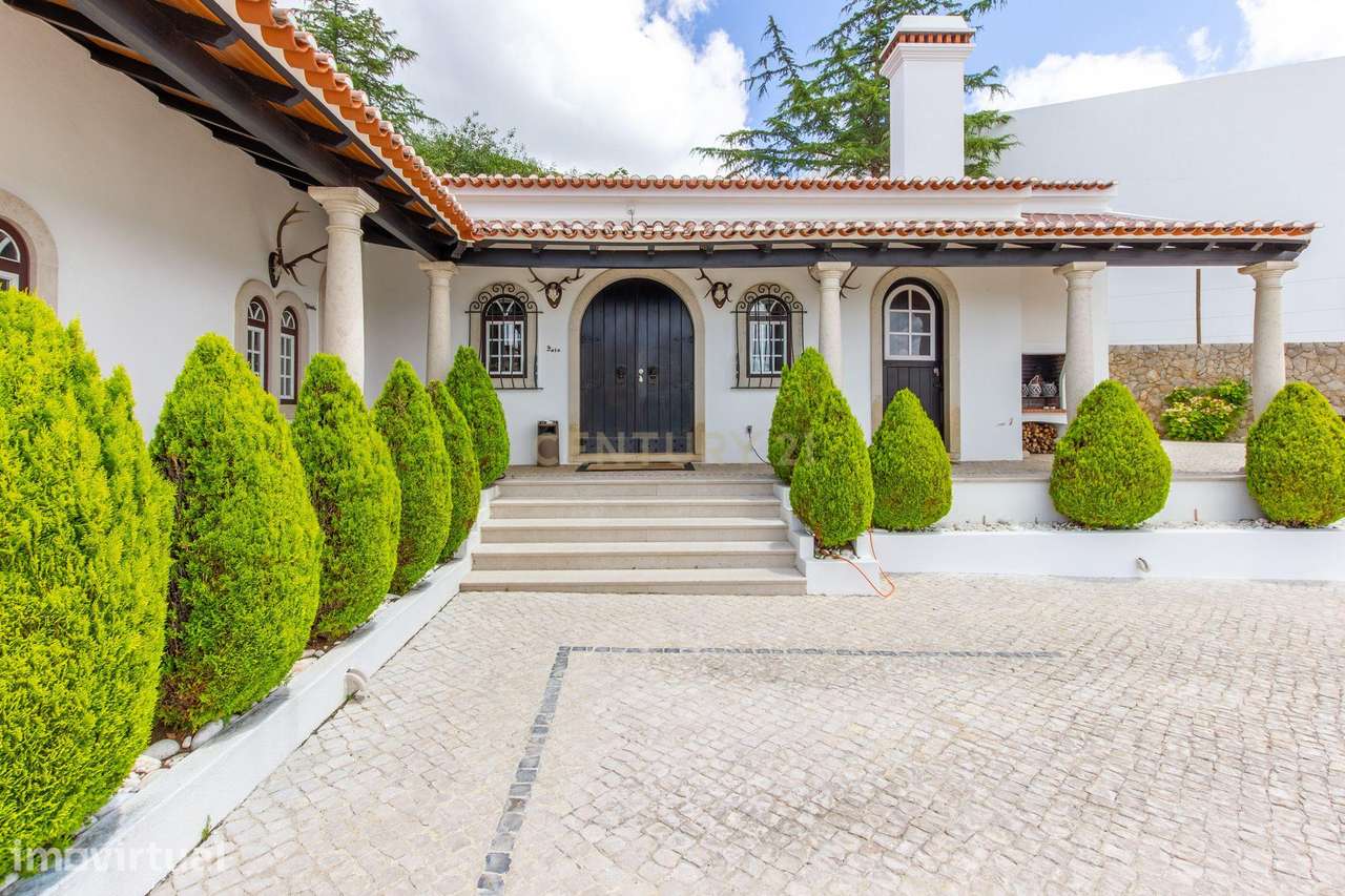 Pragança / Cadaval - Quinta com 9.000m² para habitação e Turismo Rural - Grande imagem: 4/60