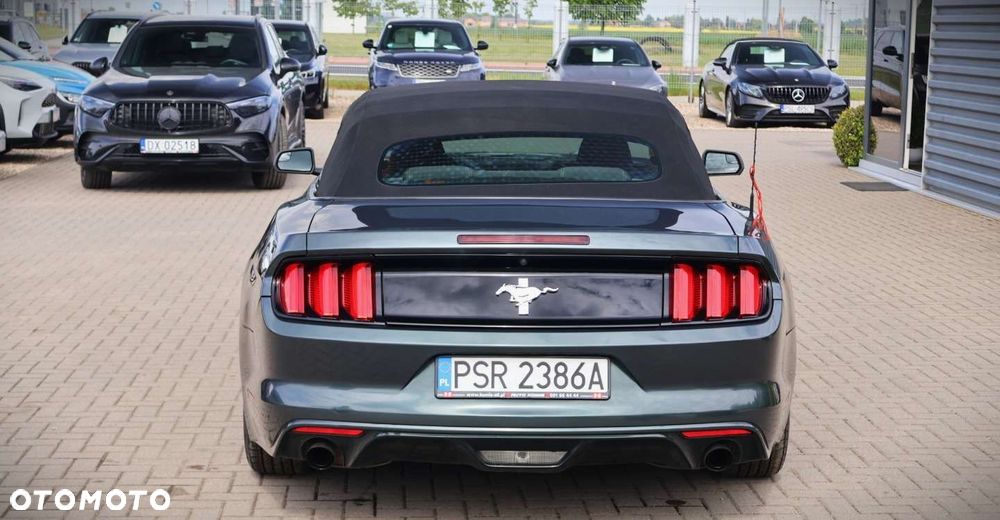 Ford Mustang - 8