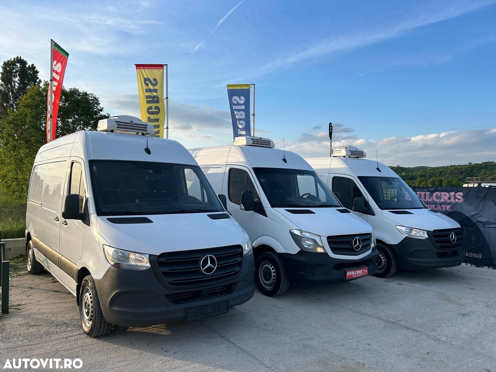 Mercedes-Benz Sprinter FRIGORIFIC THERMO KING CONGELARE - 34