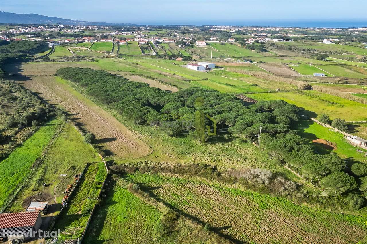 Terreno Rústico com  7.120 m² em Sintra - Grande imagem: 3/7