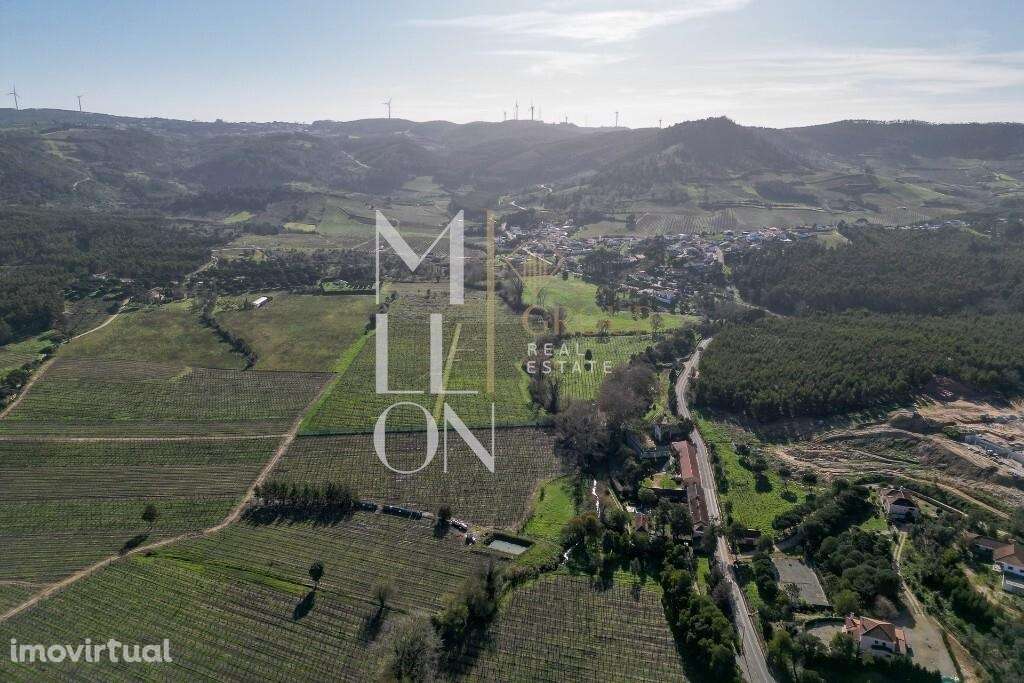 Propriedade Histórica e Vinícola Única – Uma Oportunidade Rara a 50 mi - Grande imagem: 2/31