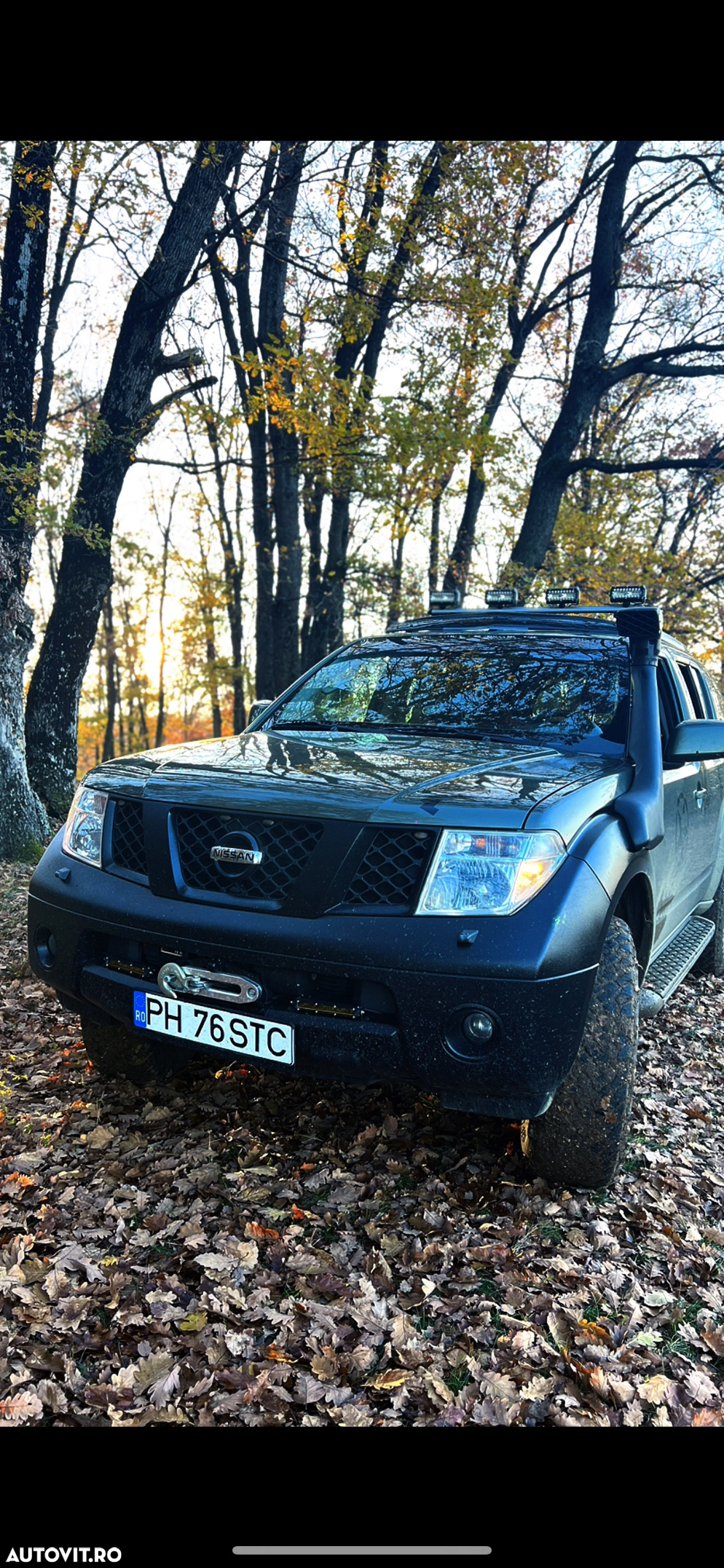 Nissan Pathfinder - 12