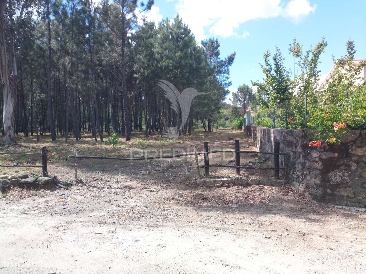 Terreno situado no Monte da Nossa Senhora do Castelo, Mangualde - Grande imagem: 2/12