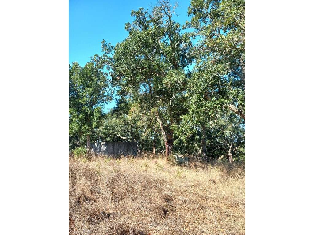 Terreno em são Francisco da Serra - Grande imagem: 5/8