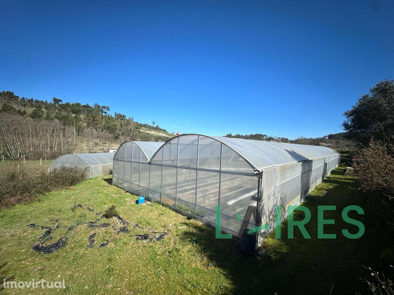 Quinta Agrícola com 3ha - Grande imagem: 3/10