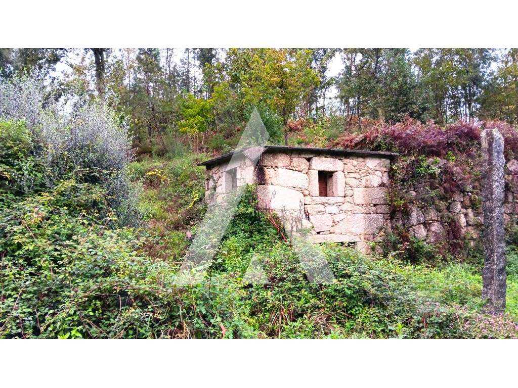 Quinta para reconstrução para viver, descansar ou para investir no ... - Grande imagem: 2/16
