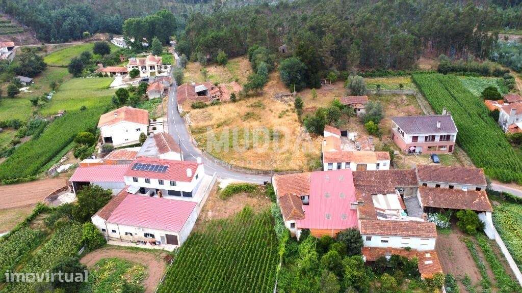 Terreno | 1290 m2 a 15 Minutos de Aveiro |Espaço e Liberdade - Grande imagem: 5/11