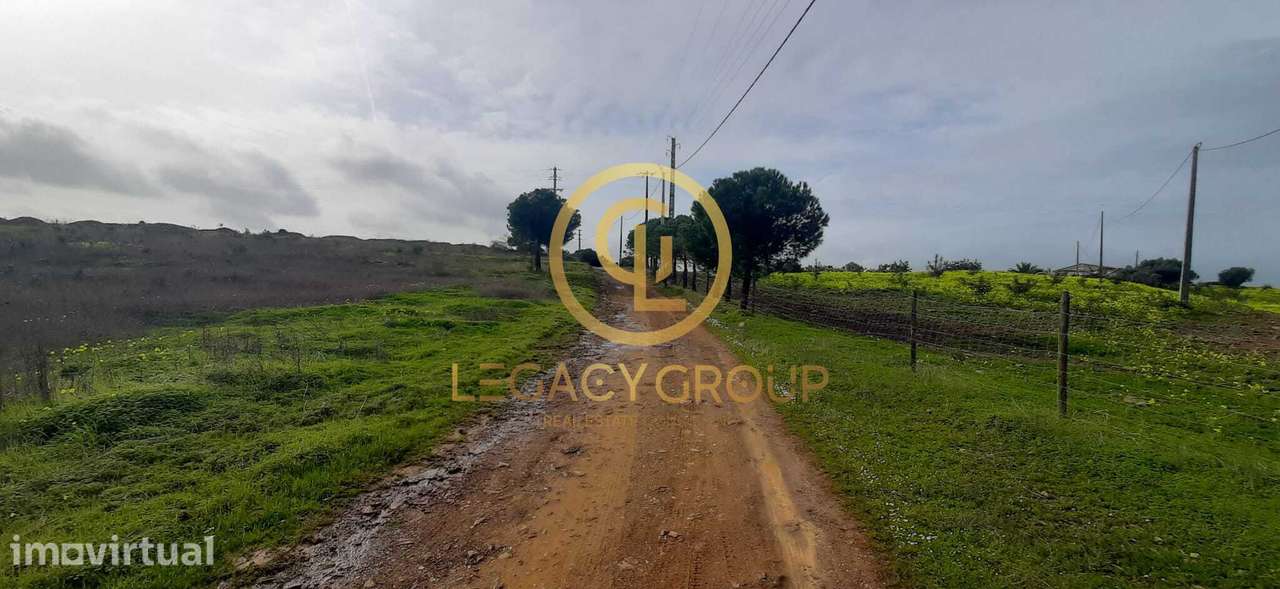 Terreno rústico de 5,3 hectares em Azinhal - Grande imagem: 4/15