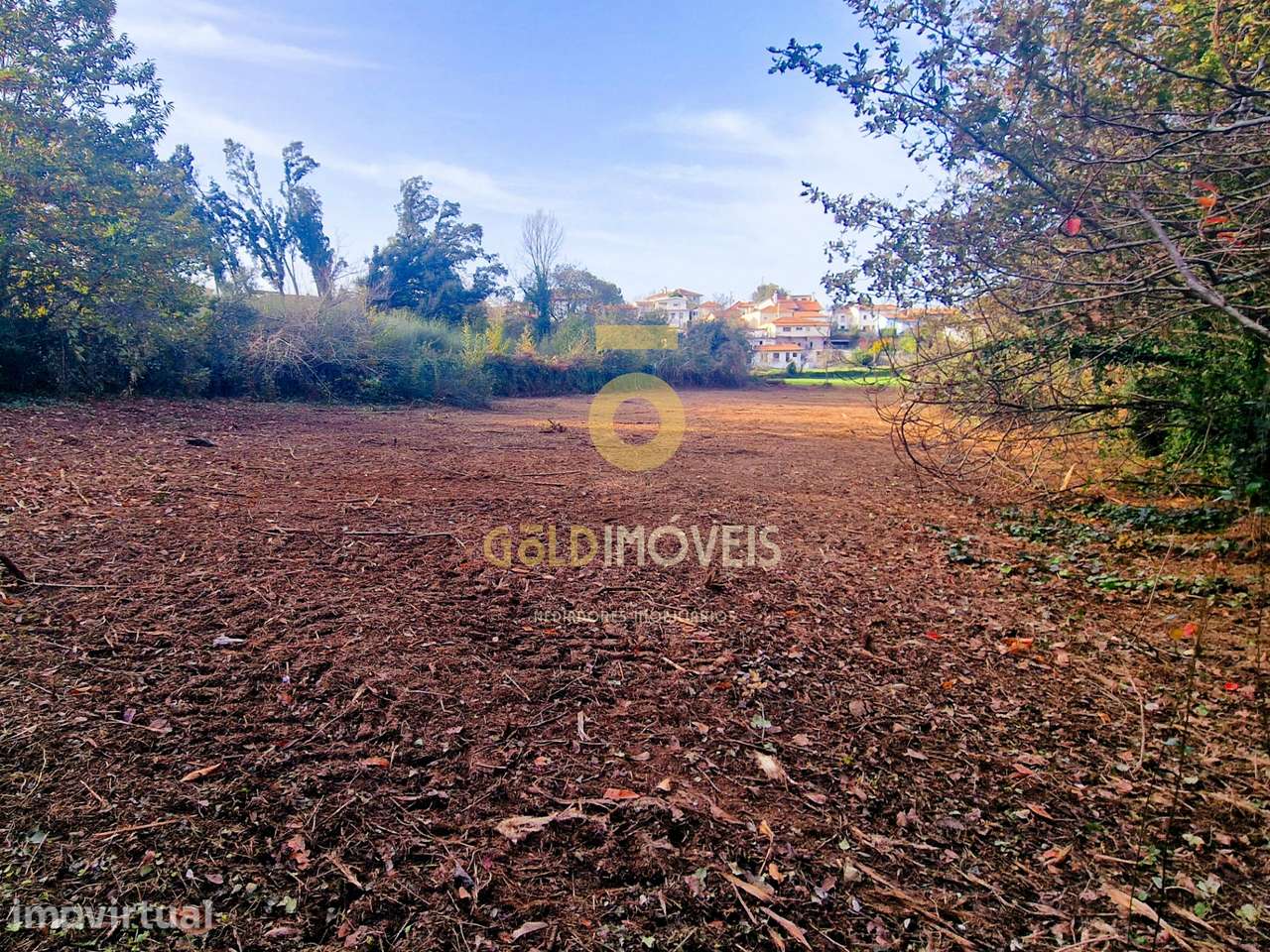 Terreno Rústico  Venda em Vila de Cucujães,Oliveira de Azeméis - Grande imagem: 3/12