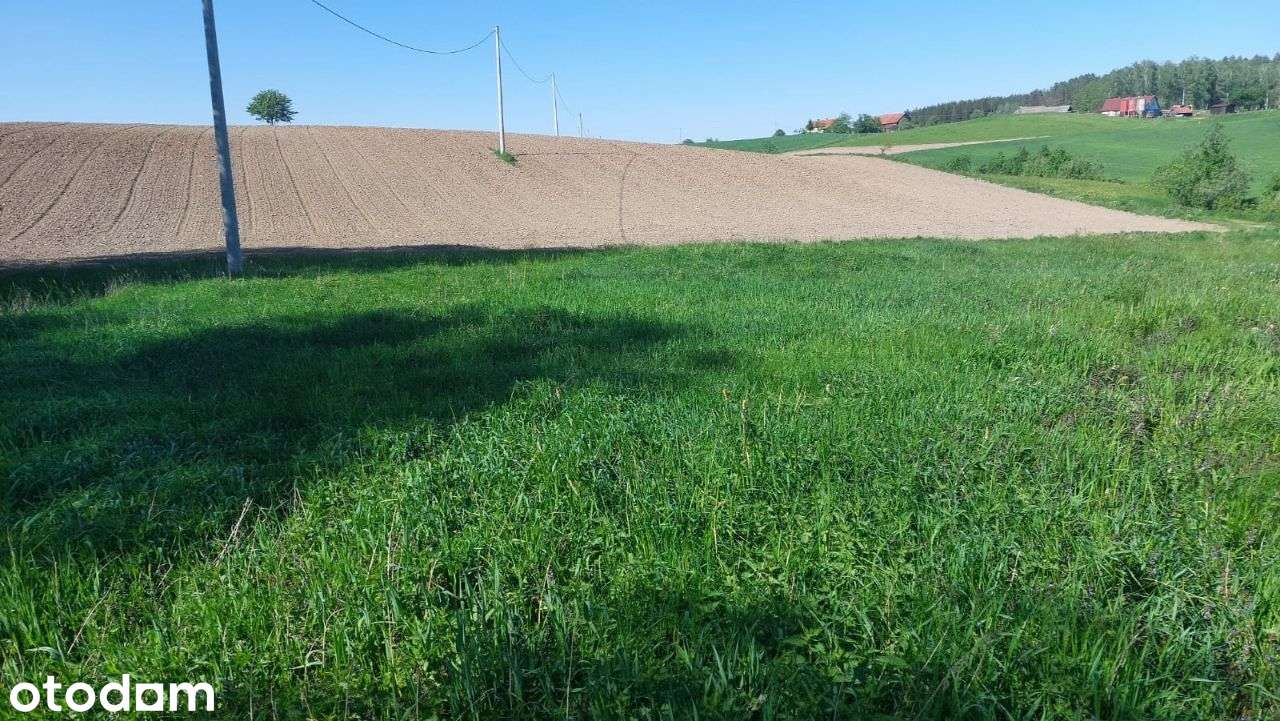 Działka pod zabudowę na Mazurach - Pełny obrazek: 4/5