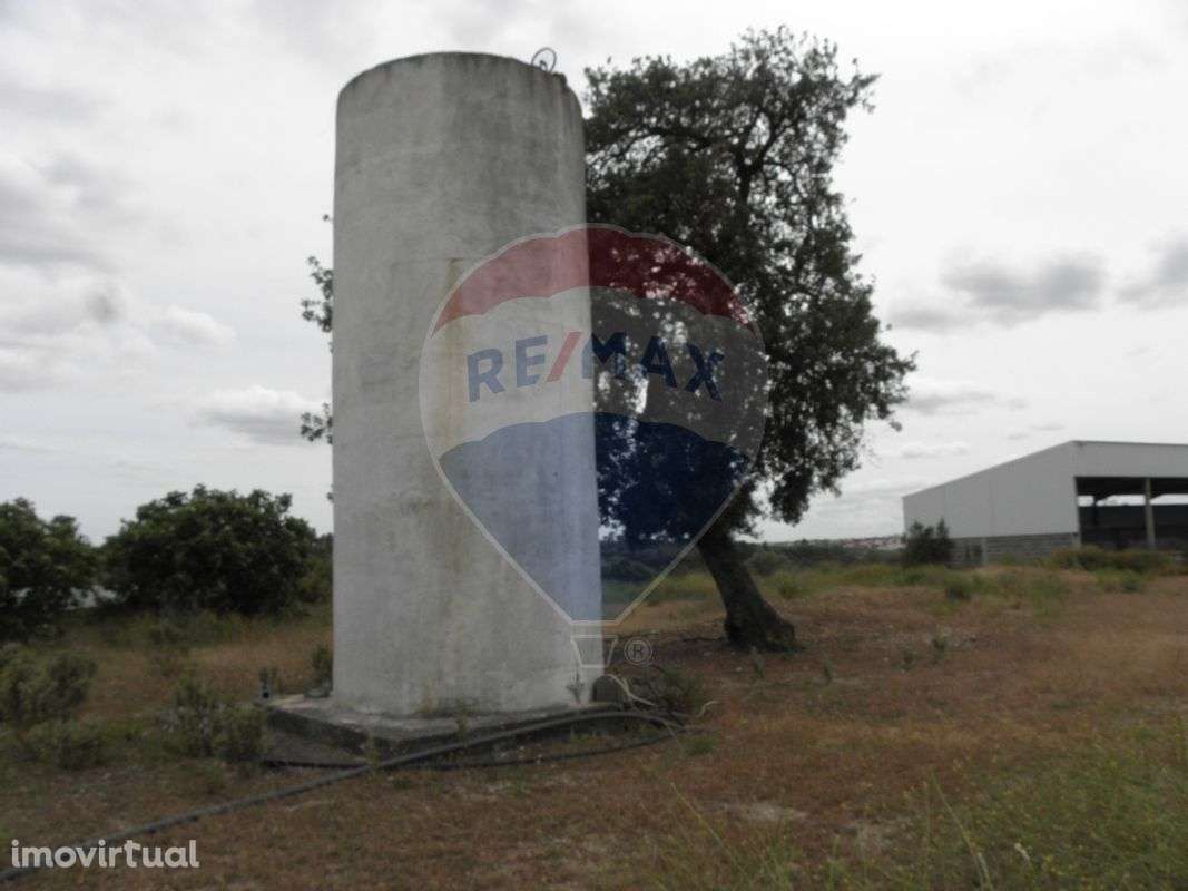 Quinta T2 para venda - Grande imagem: 5/26