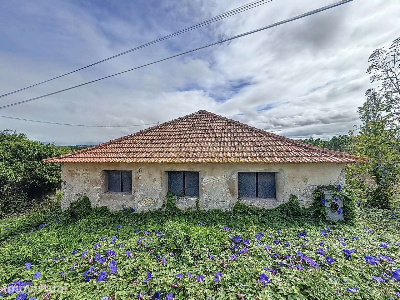 Terreno - Adega - Para Restaurar -  Montes - Quinta - Alcobaça - Grande imagem: 3/10