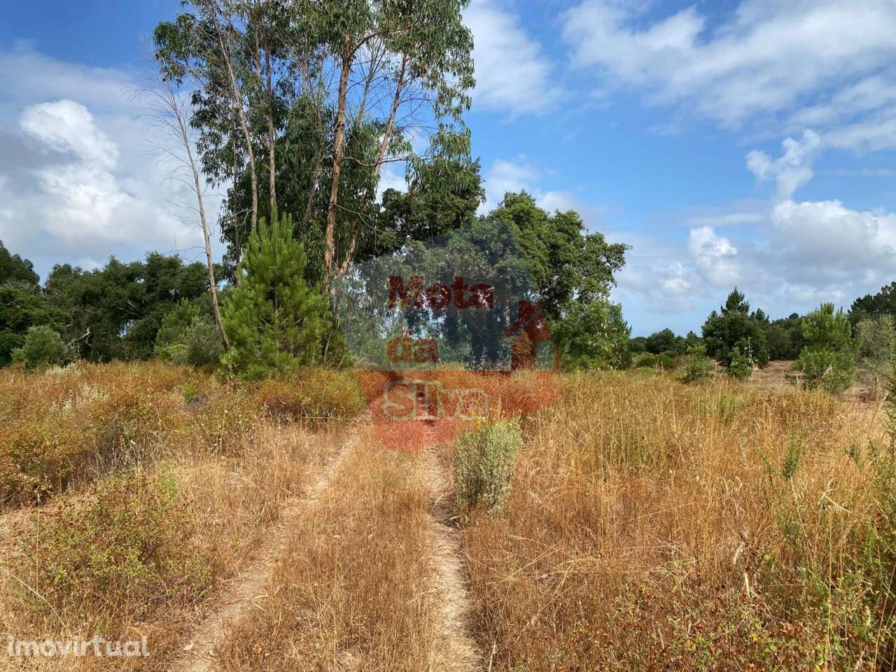Excelente Terreno em Melides Valinho da Estrada - Grande imagem: 4/18