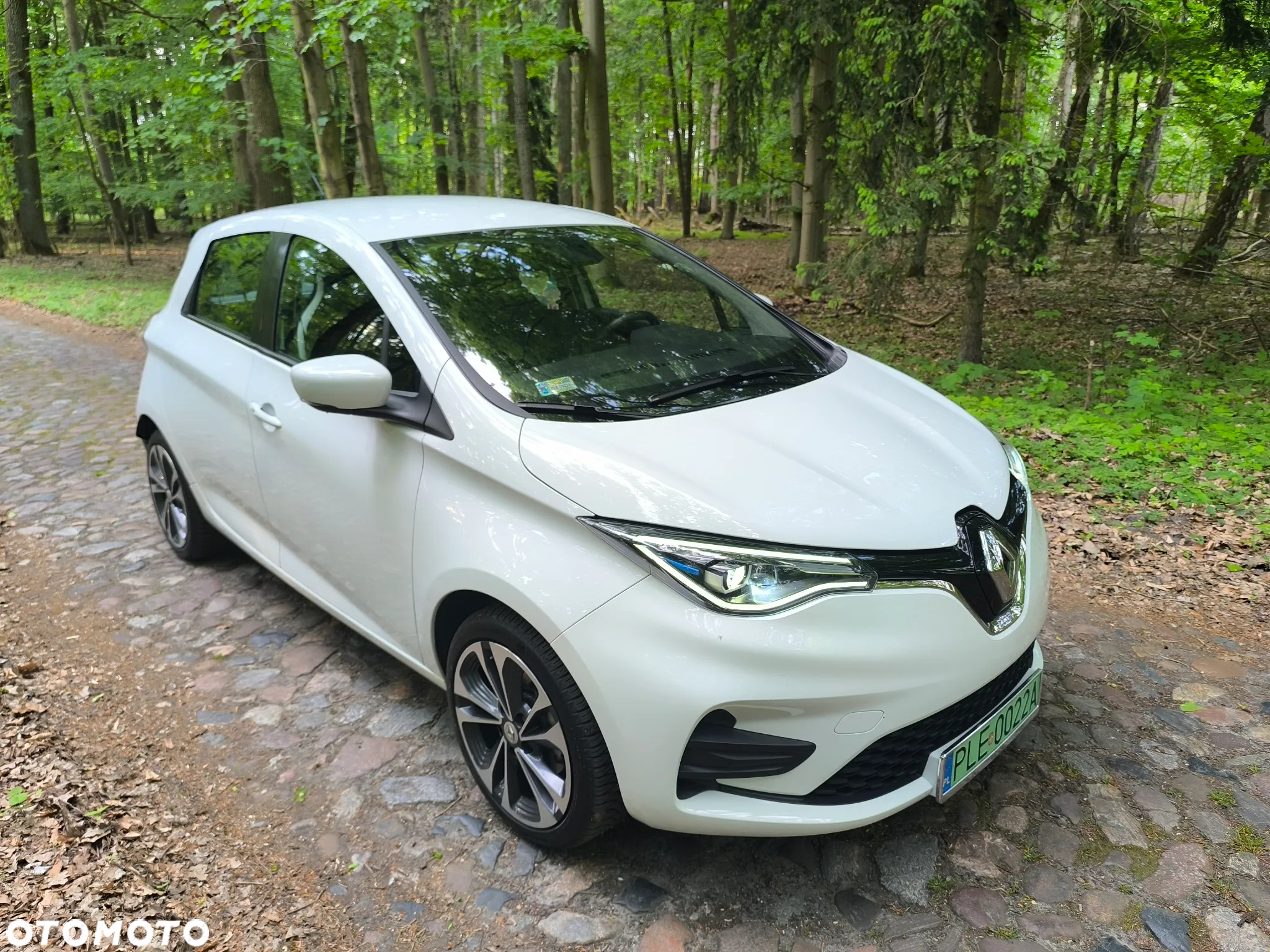 Renault Zoe R110 Z.E 50 Zen - 8