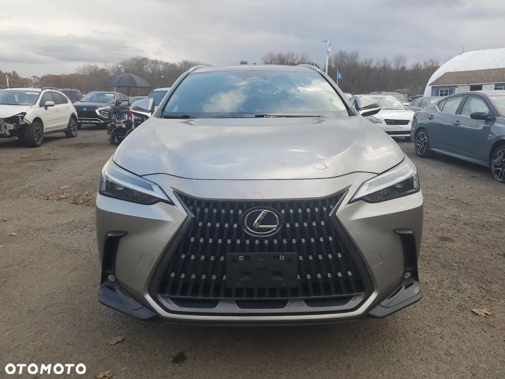 Lexus NX 300 AWD Luxury Line - 5