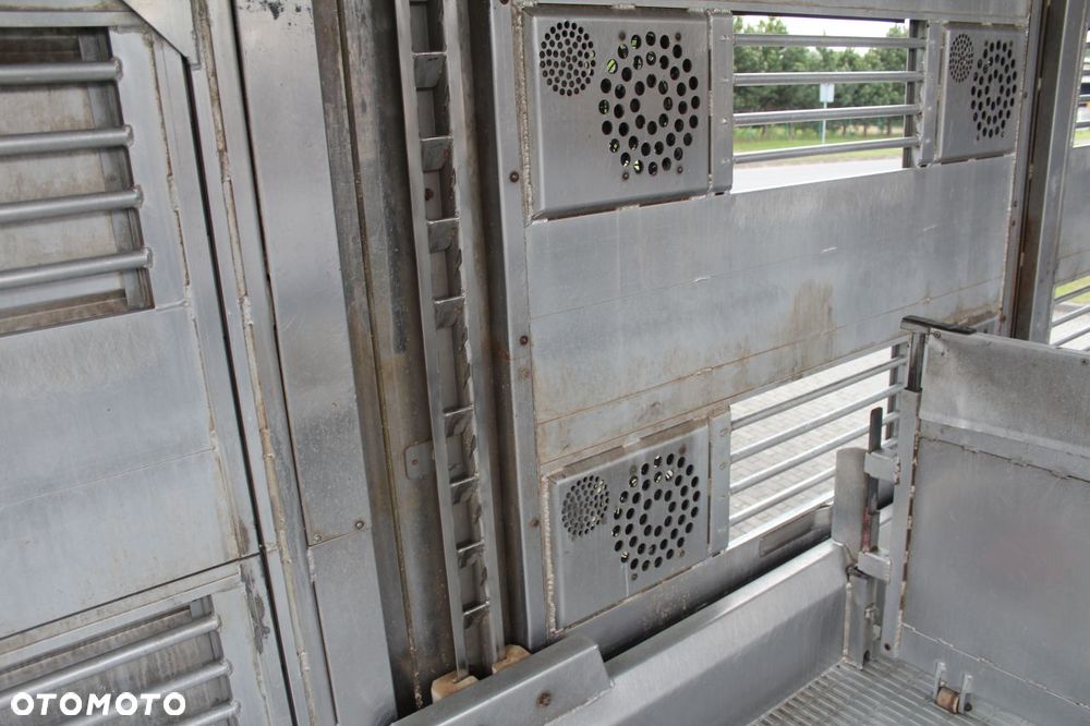 MAN TGS 26.440 DO ŻYWCA ZWIERZĄT BYDŁA Z NIEMIEC - 18