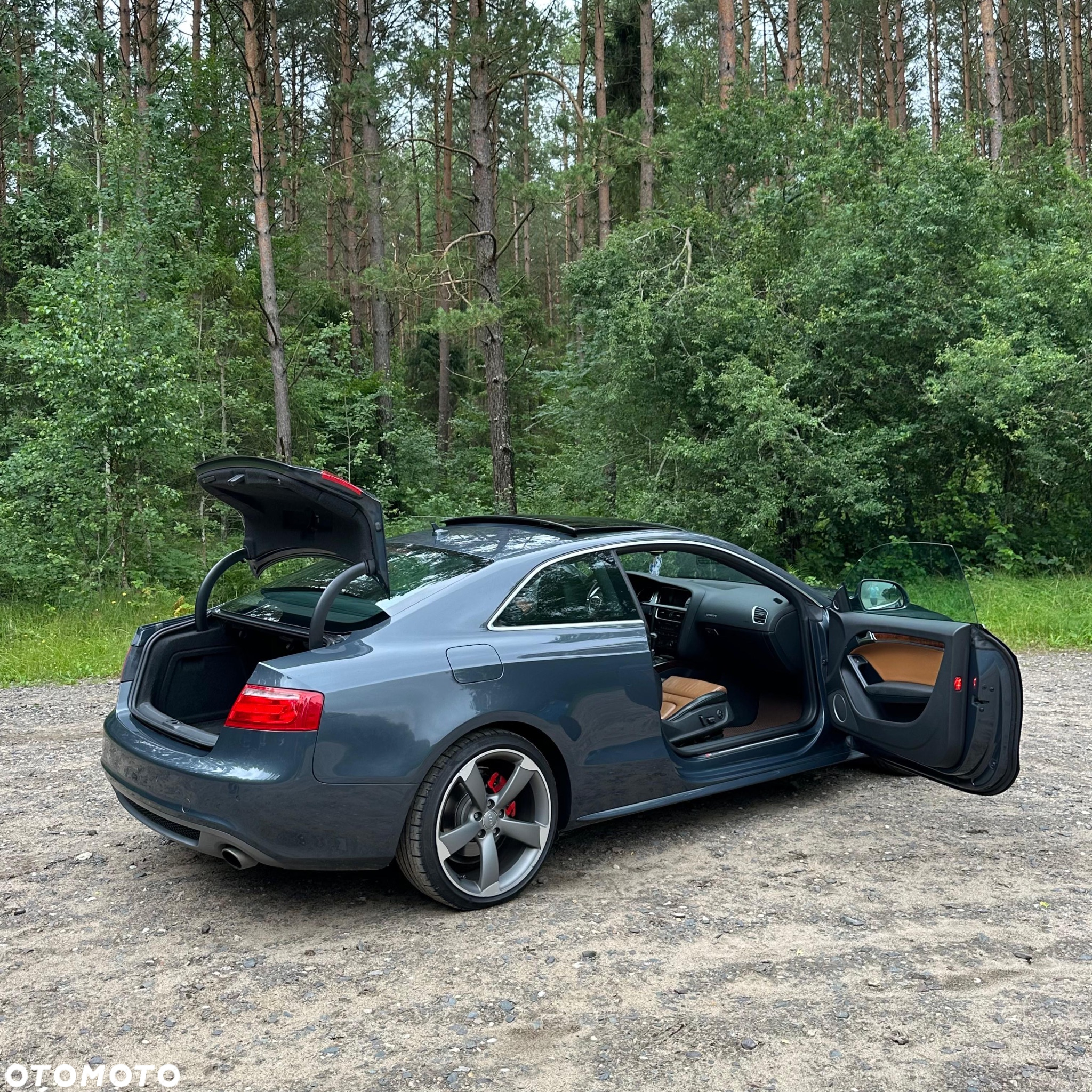 Audi A5 3.0 TDI Quattro Tiptr - 10