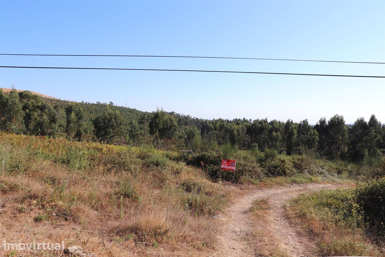 Lote de Terreno  Venda em Lustosa e Barrosas (Santo Estêvão),Lousada - Grande imagem: 5/6
