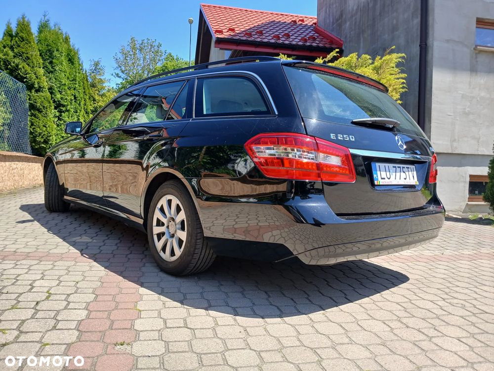 Mercedes-Benz Klasa E 250 CDI Classic - 15